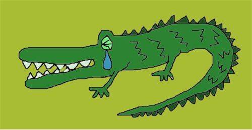 鳄鱼为什么流泪?